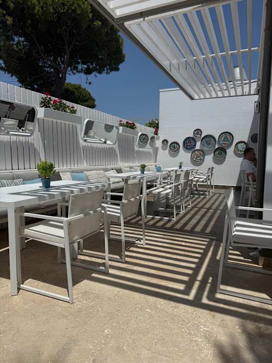 Gastro Acanthus Cennet Barut Collection