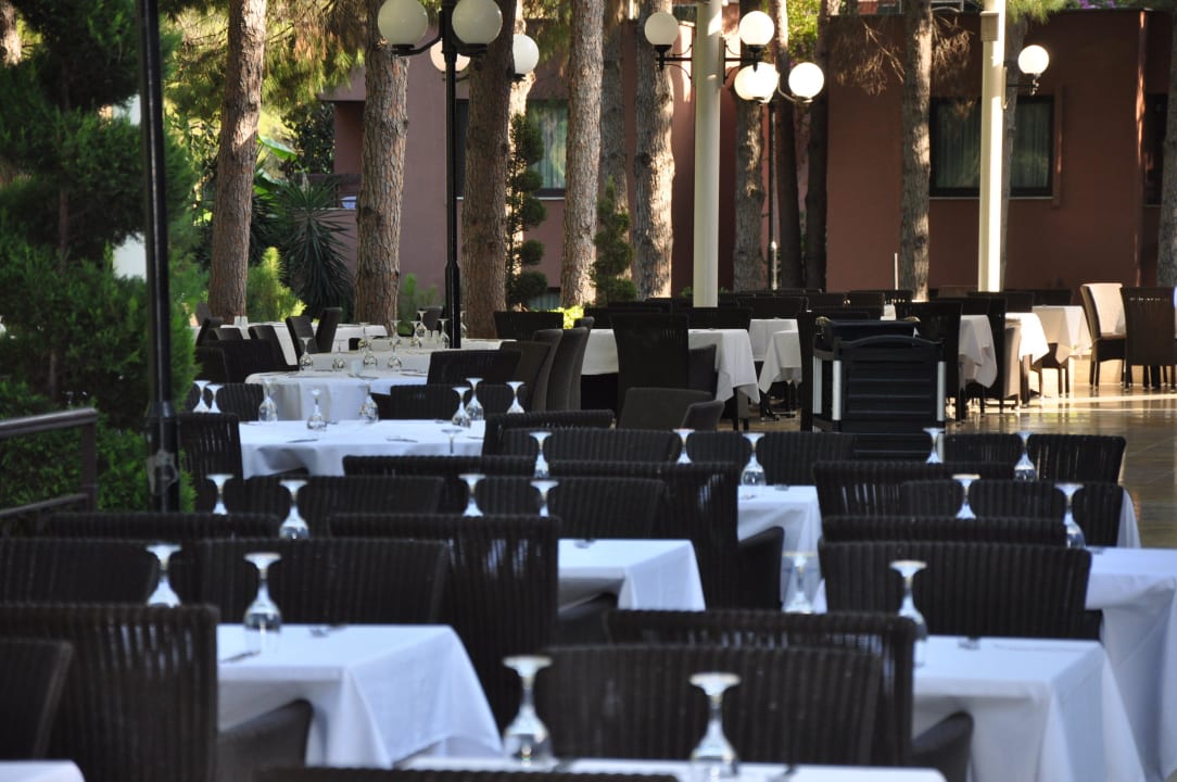 Restauracja Balmy Foresta