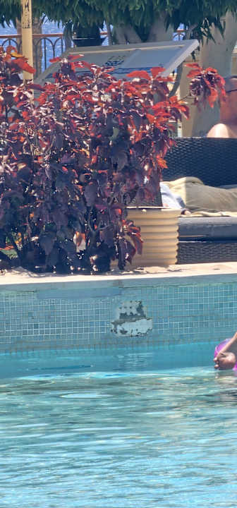 Pool Makadi Spa - Adults only