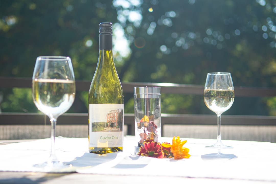 Ausblick Hotel Haus am Zoo