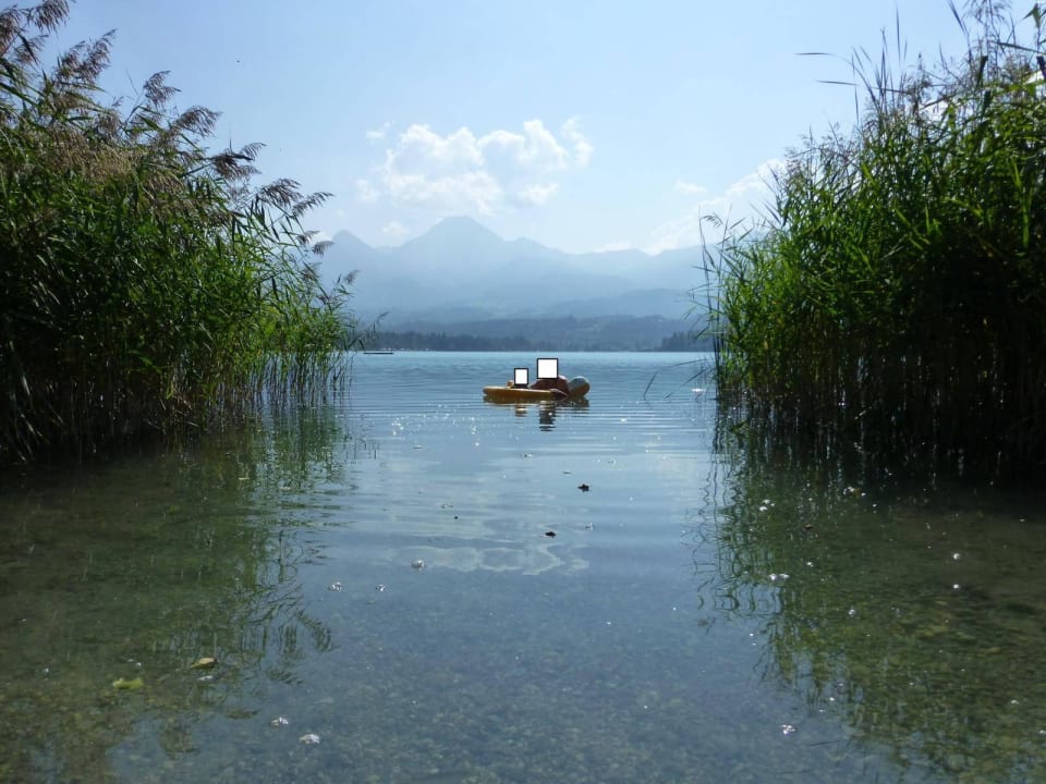 Seezugang mit Blick auf den See Apartments am See Domenig