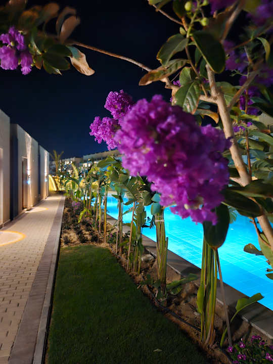 Gartenanlage Diamond Beach by Pearl Resort