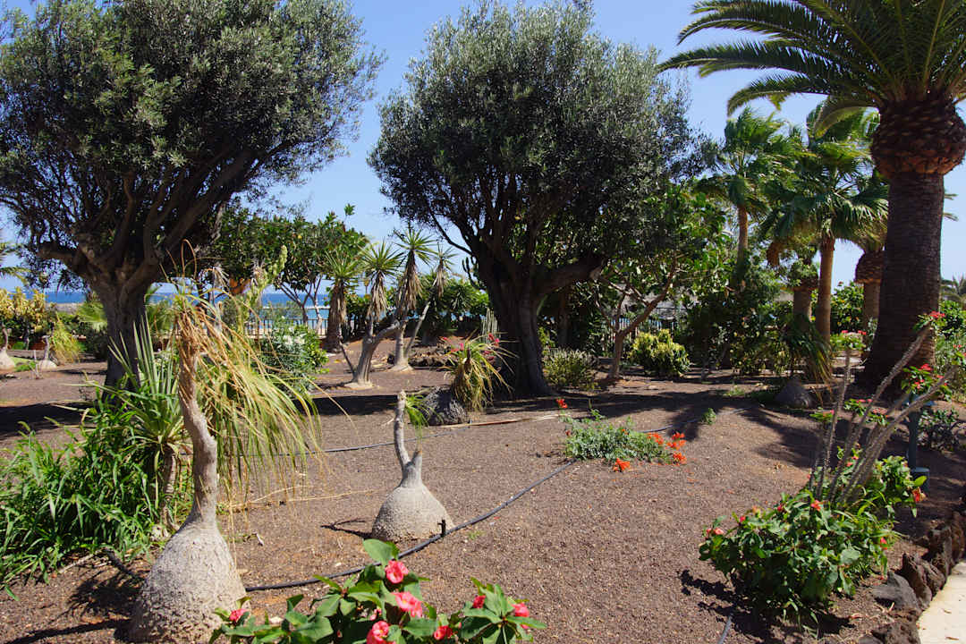Gartenanlage Sheraton Fuerteventura Golf & Spa Resort