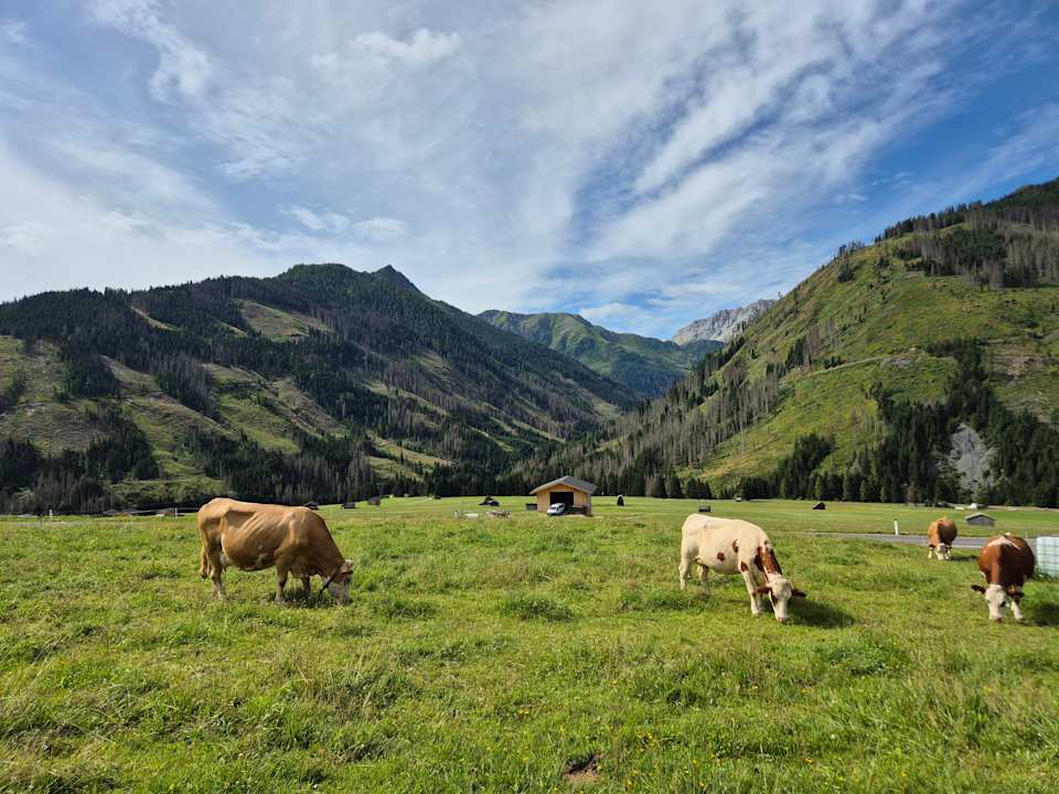 Sonstiges Almfamilyhotel Scherer
