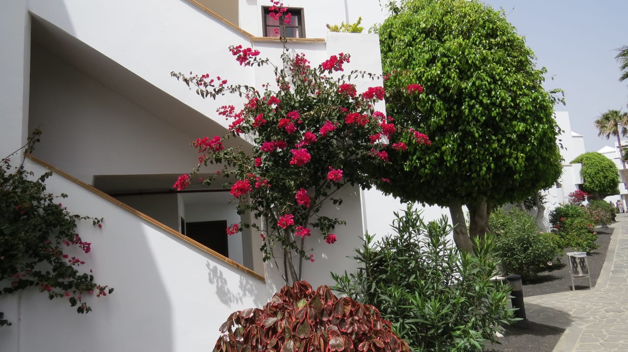 Gartenanlage allsun App.-Hotel Albatros