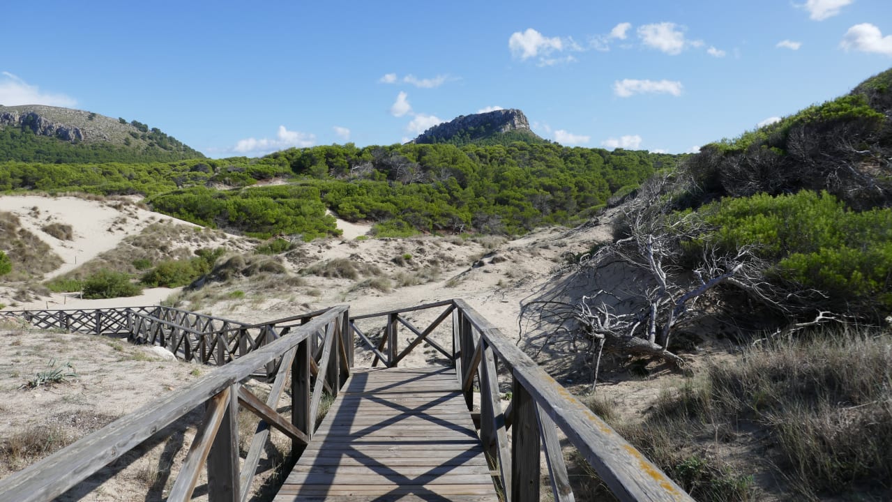 Strand VIVA Cala Mesquida Suites & Spa 16+