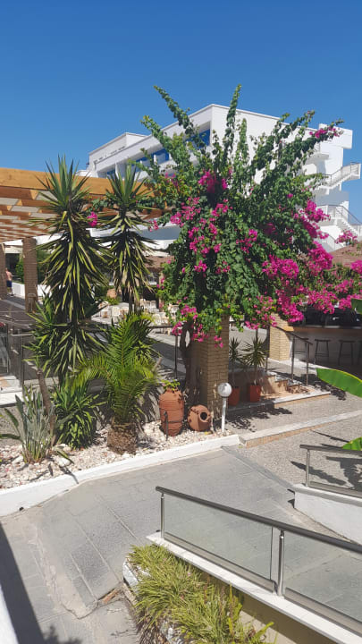 Gartenanlage Blue Sea Beach Resort