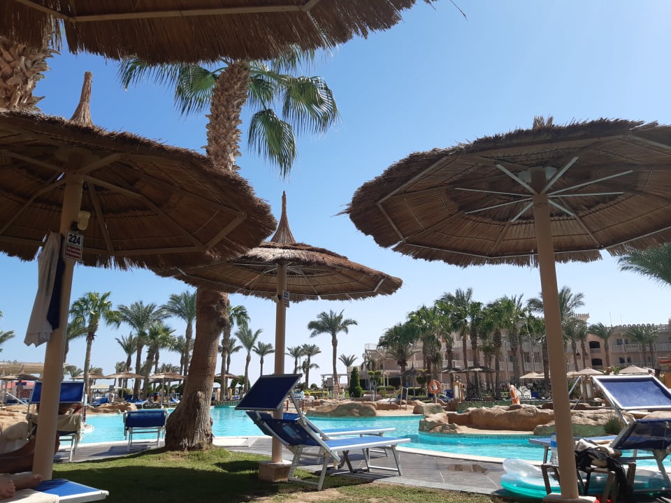 Pool Pickalbatros Palace Resort