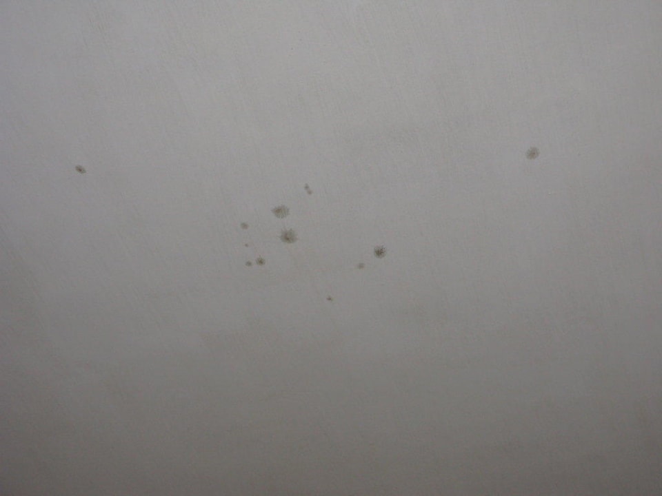 Zimmerdecke EKHO Surf