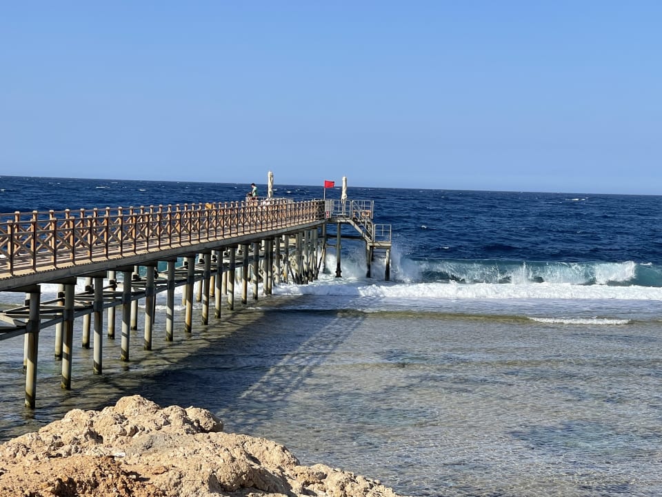Strand Steigenberger Resort Alaya Marsa Alam - Red Sea - Adults only