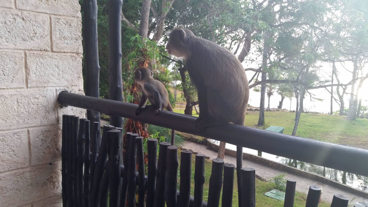 Hotel Baobab Beach Resort Baobab Beach Resort & Spa