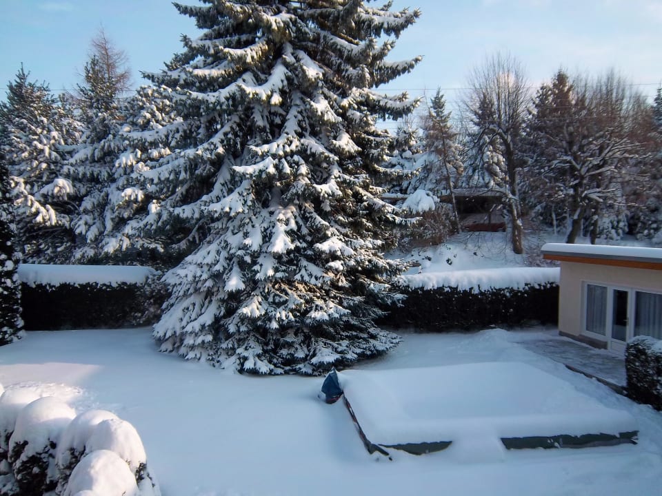 Im Winter Hotel & Pension Aßmann