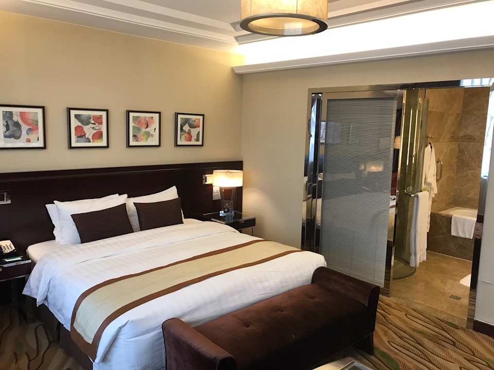 Zimmer Radisson Plaza Hotel Tianjin