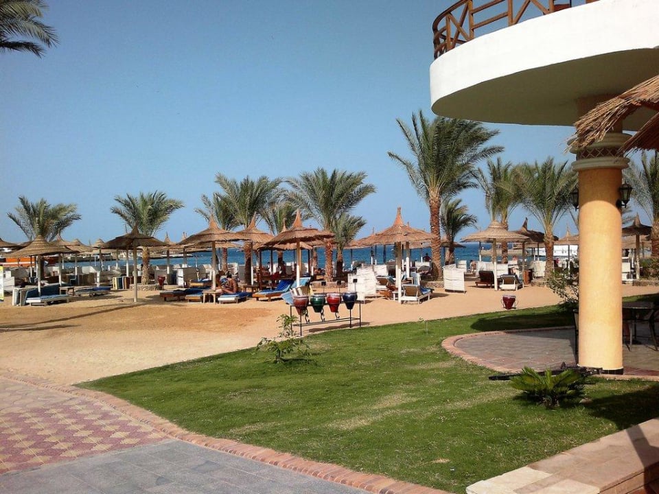 Пляж Beach Albatros Resort