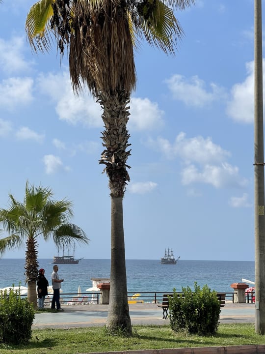 Strand Kleopatra Celine Hotel