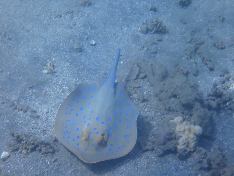 Sport & Freizeit Three Corners Equinox Beach Resort