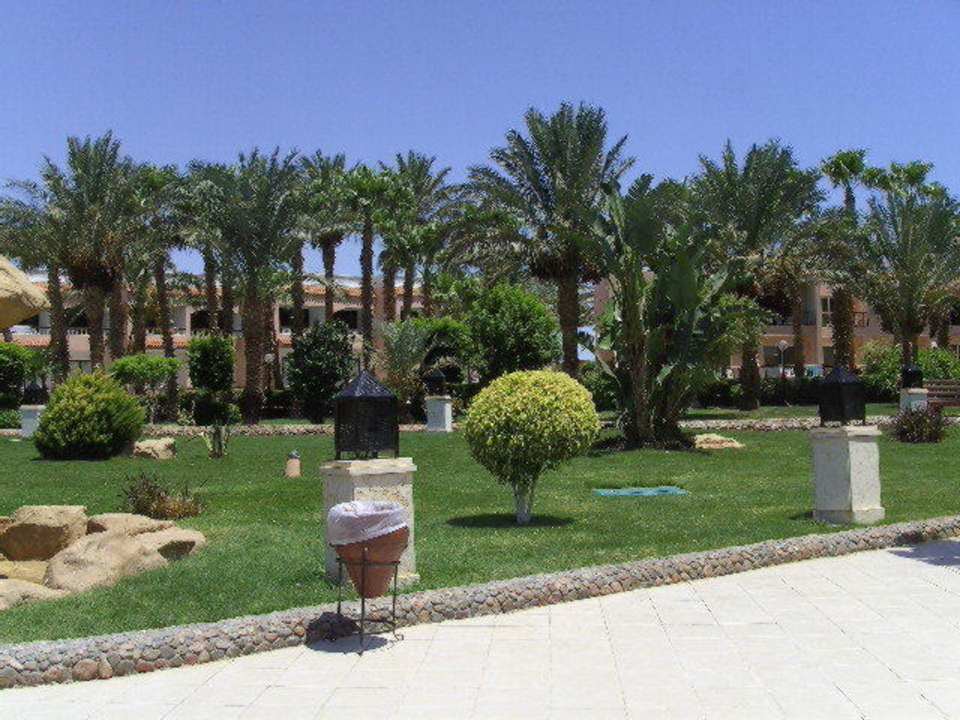 Gartenanlage um den Pool Beach Albatros Resort