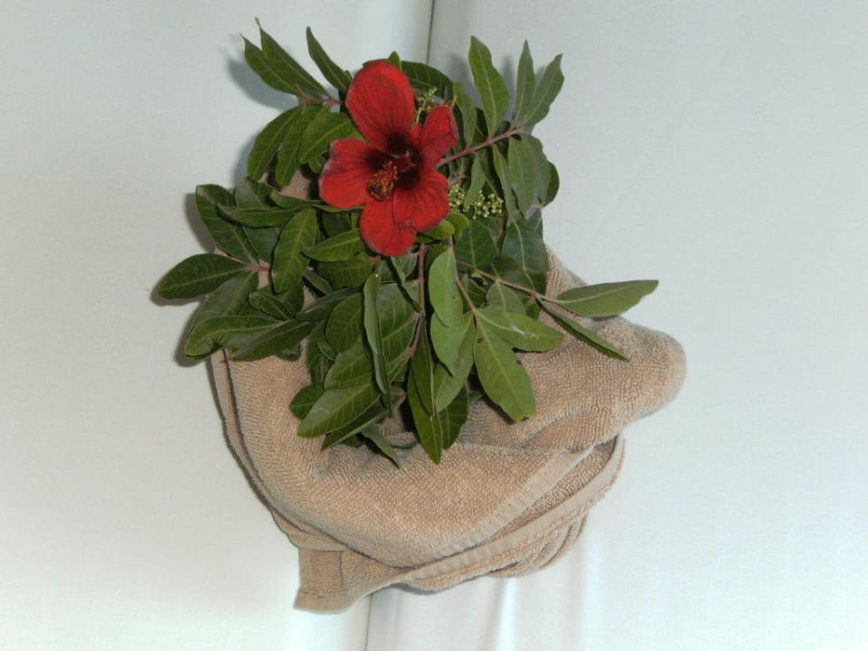 Blume vom Zimmermädchen Hotel El Mouradi Djerba Menzel