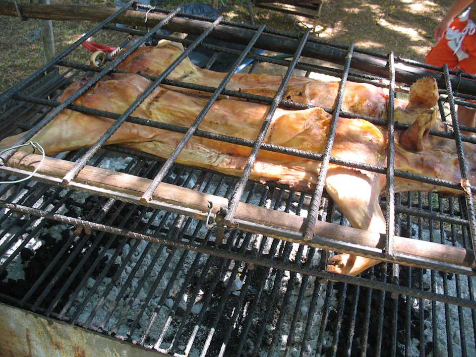 Kuba Tag das Spanferkel Blau varadero - Adults only