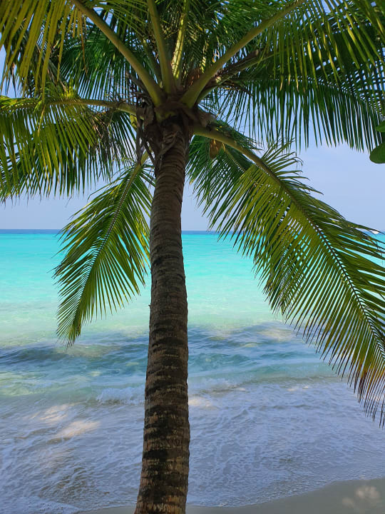Strand Kuramathi Maldives