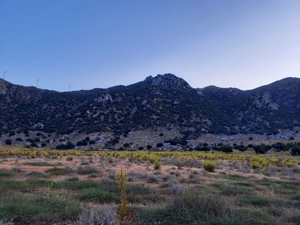 Außenansicht Kalimera Mare