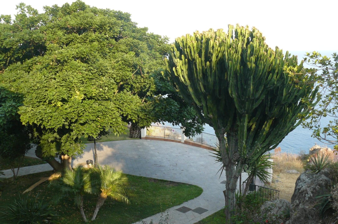 Riesenkaktus Capo dei Greci Taormina Coast Resort Hotel & Spa