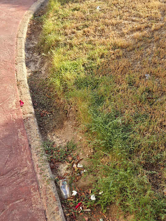 Gartenanlage Coral Hills Resorts & SPA