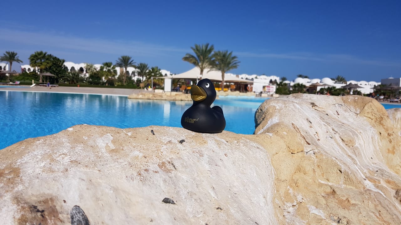 Pool Hotel Gorgonia Beach Resort