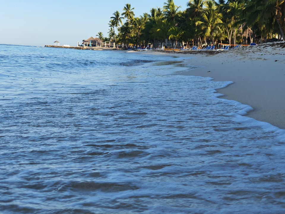 Strand Hotel Viva Dominicus Beach by Wyndham - All Inclusive Resort