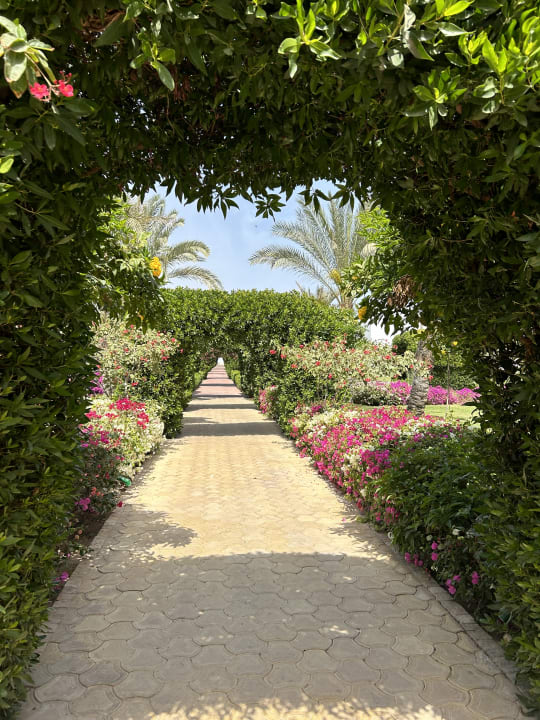 Gartenanlage Fantazia Resort Marsa Alam