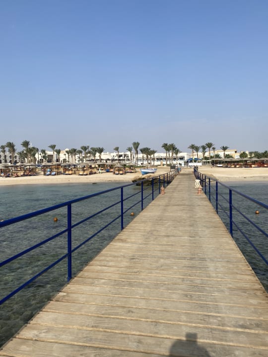Strand Pickalbatros Palace Hotel-Port Ghalib
