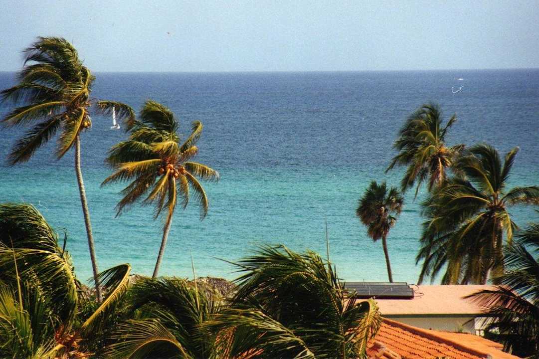 Ausblick zum Strand Hotel Villa Cuba