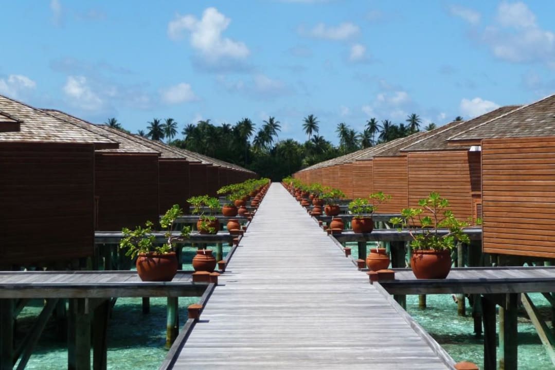 Steg der Wasserbungalows Meeru Maldives Resort Island