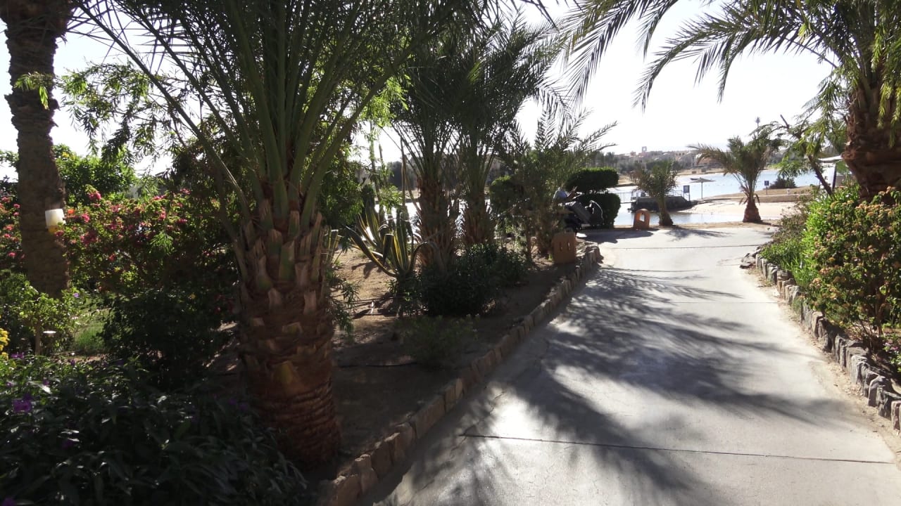 Sonstiges Sheraton Miramar Resort El Gouna