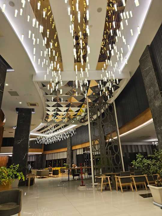 Sonstiges Seashell Vega