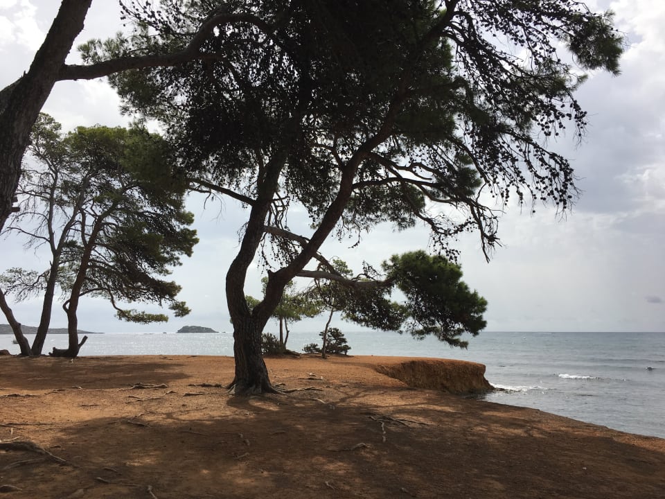 Sonstiges Iberostar Selection Santa Eulalia Ibiza