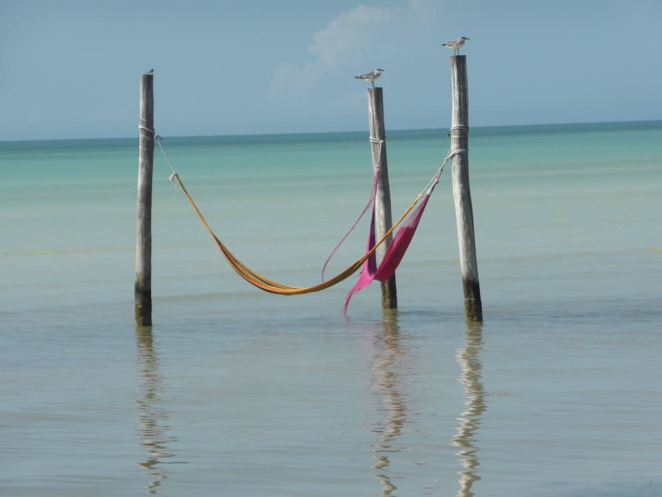 Typisch Flamingos Hotel Villas Flamingos