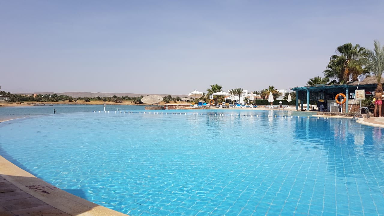Pool Mövenpick Resort & Spa El Gouna