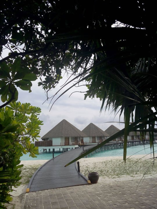 Wasserbungalows Adaaran Select Meedhupparu Island Resort - Premium All Inclusive