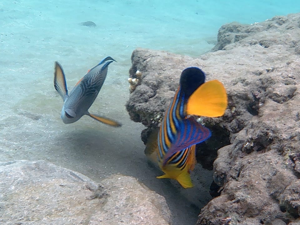 Strand Brayka Bay Resort