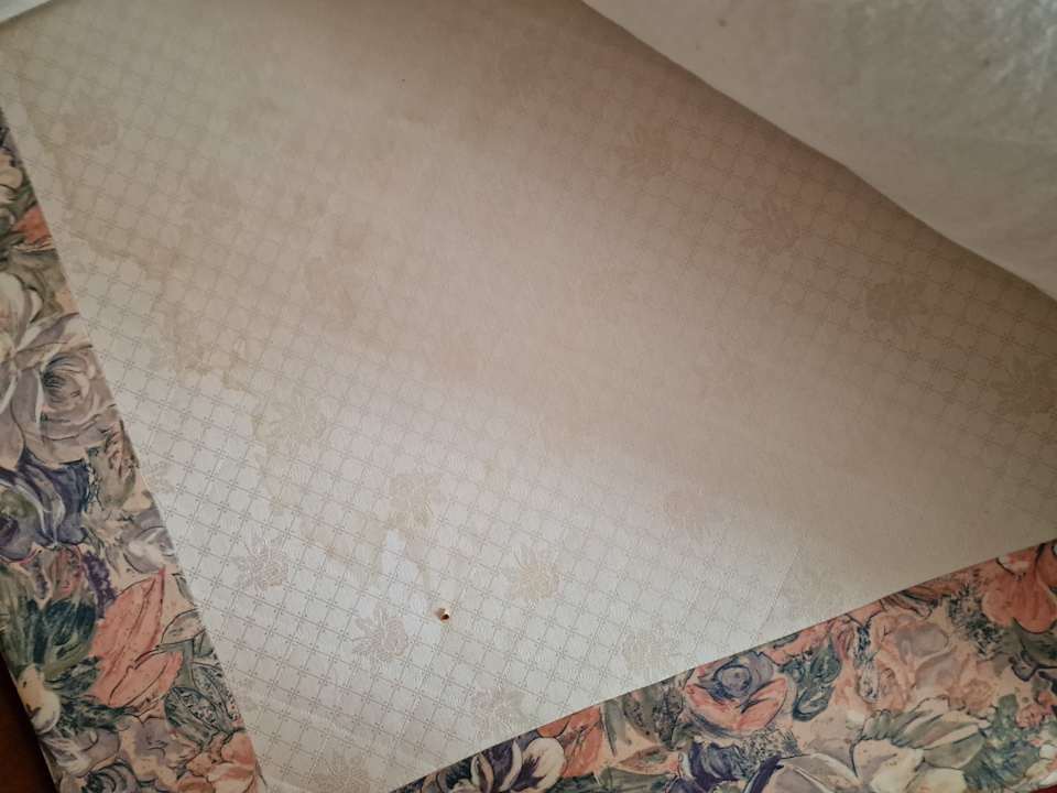 Zimmer Hotel Amadeus ROYAL Berlin