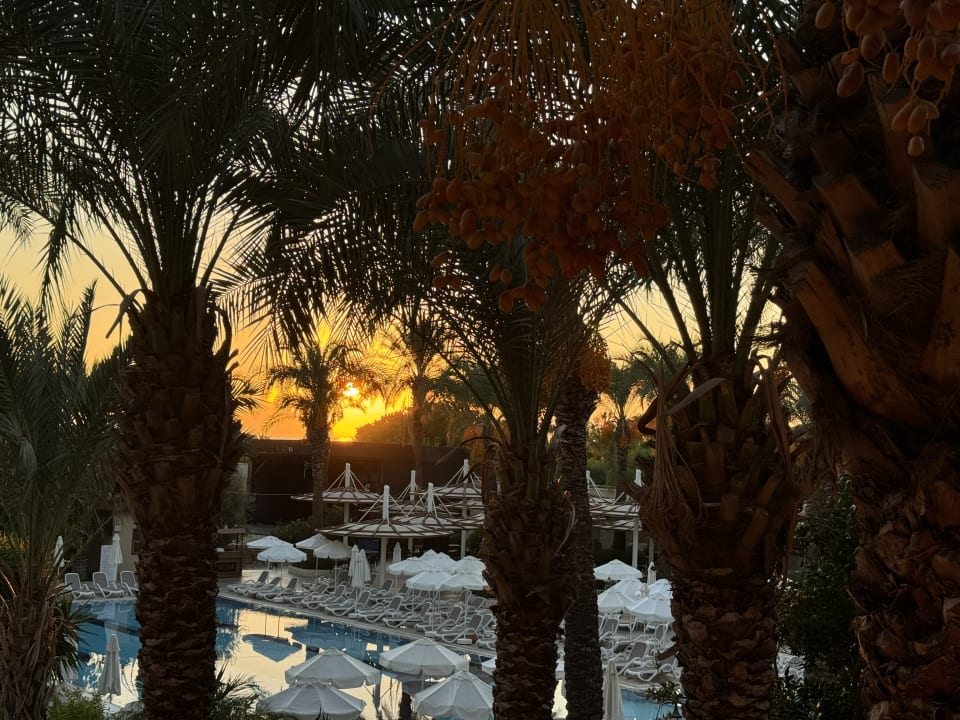 Gartenanlage Sunis Kumköy Beach Resort Hotel & Spa