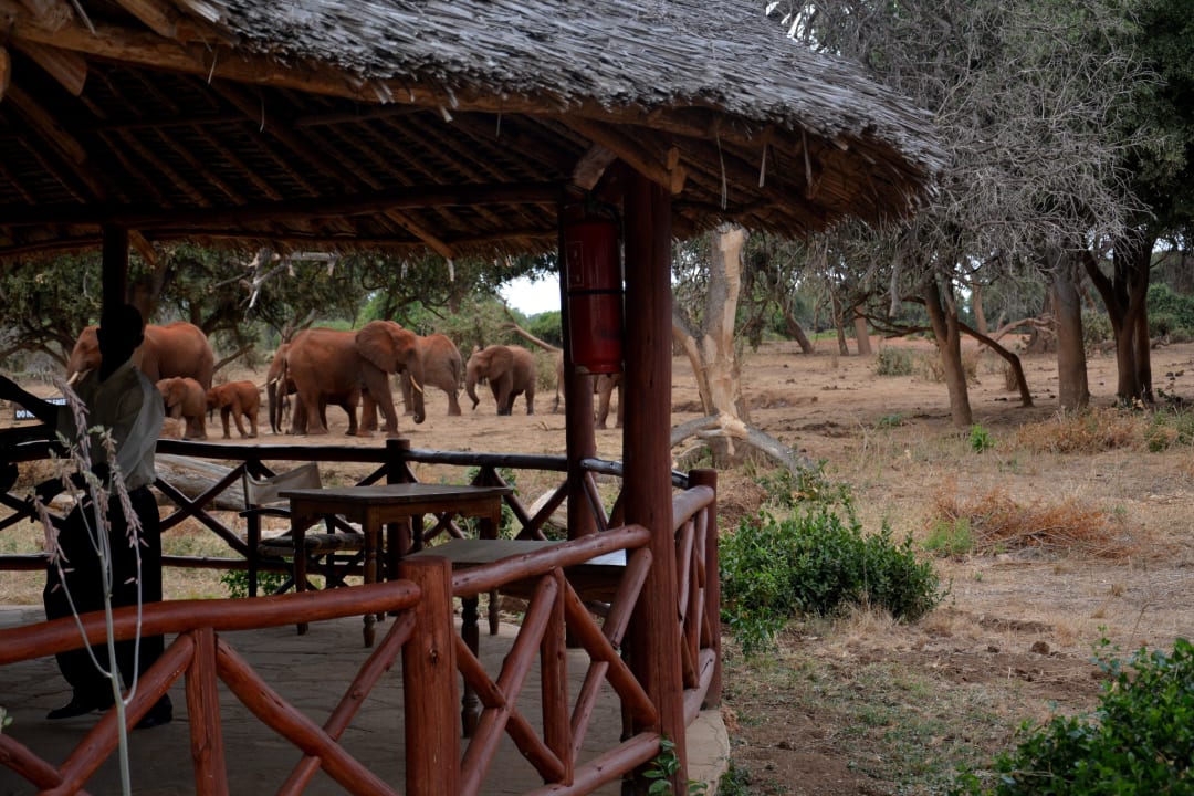 Besuch im Ndololo Camp Hotel Ndololo Safari Camp