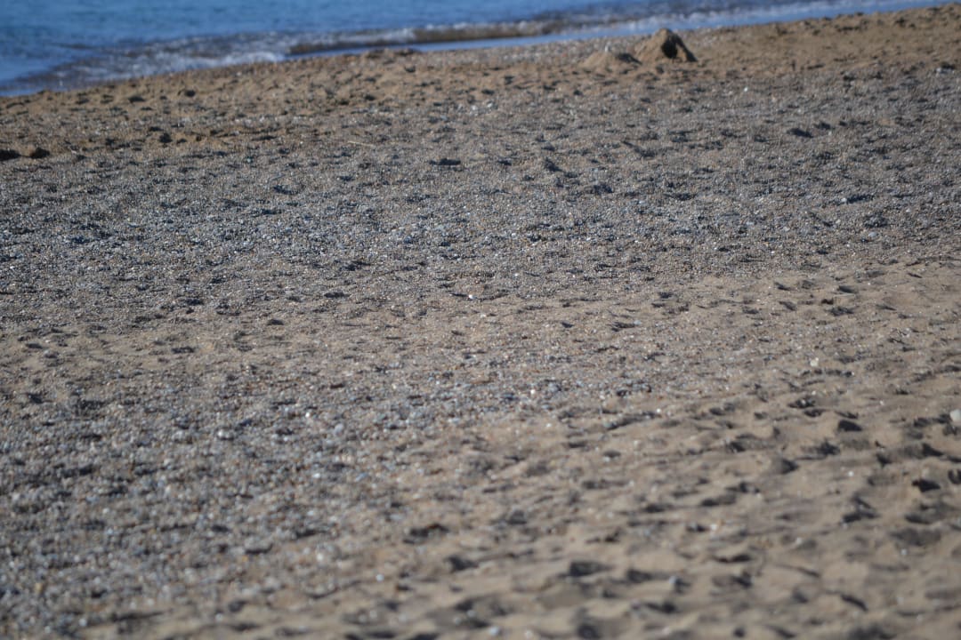 Sehr kieselig Royal Wings Hotel