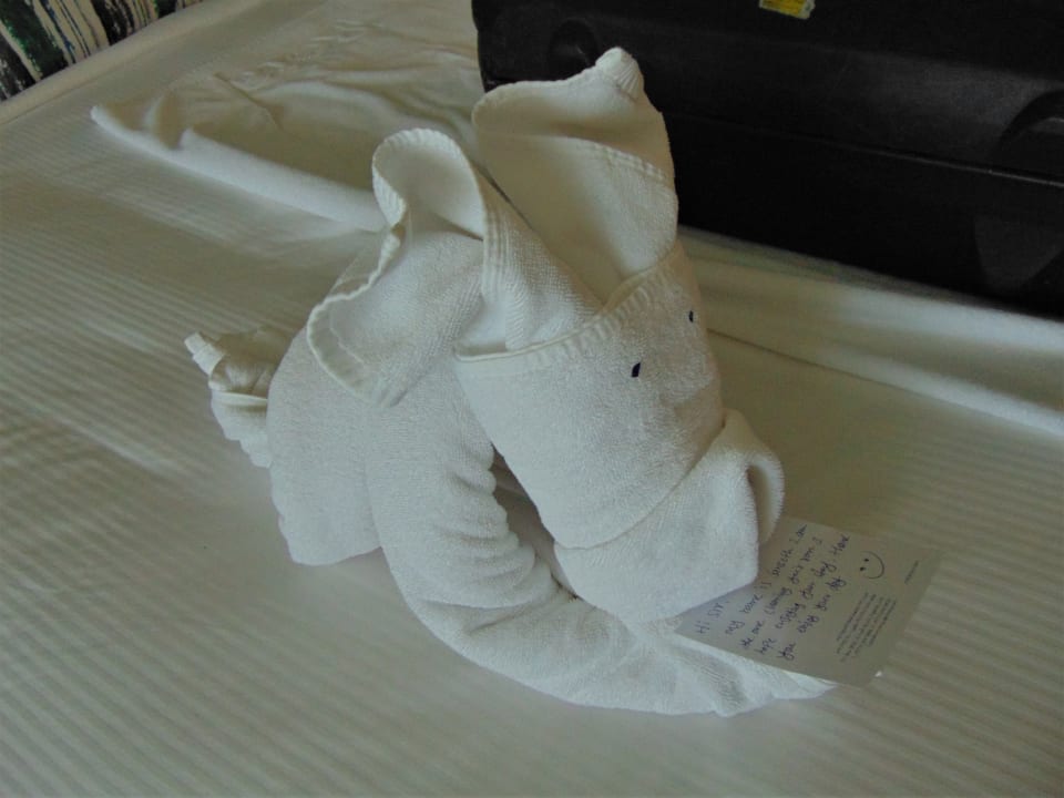 Zimmer Fujairah Rotana Resort & Spa