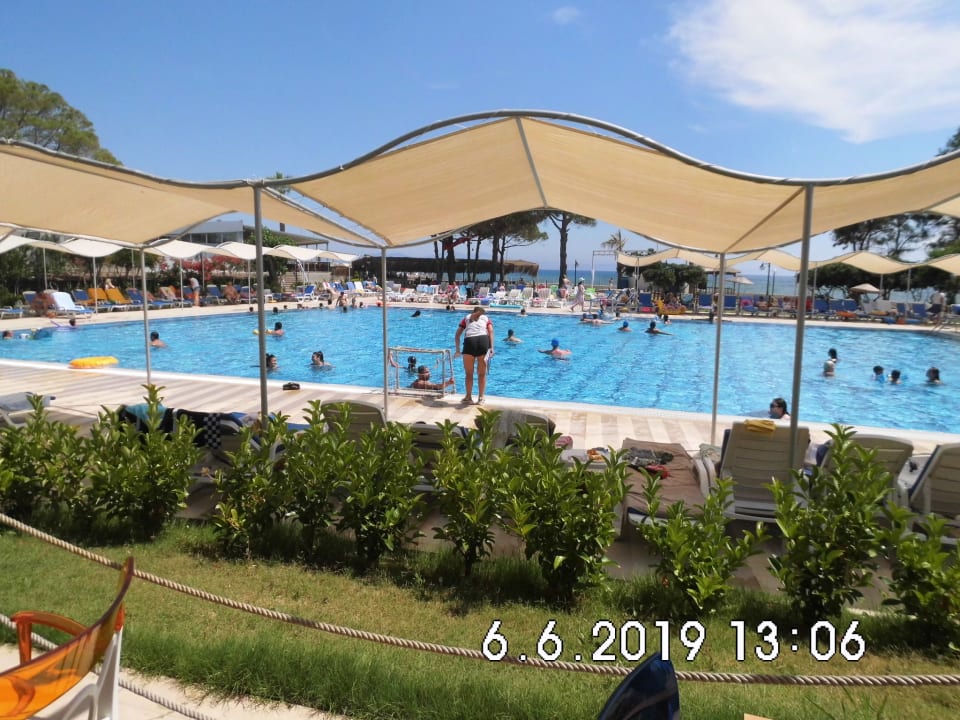 Pool Royal Beach Club Hotel
