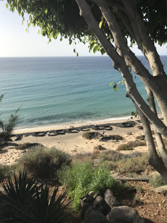 Ausblick Marina Playa Suite Hotel