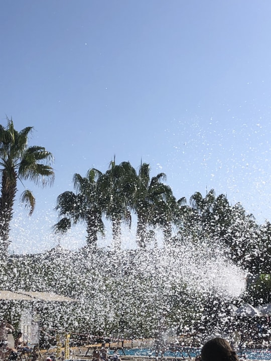 Pool Hane Family Resort