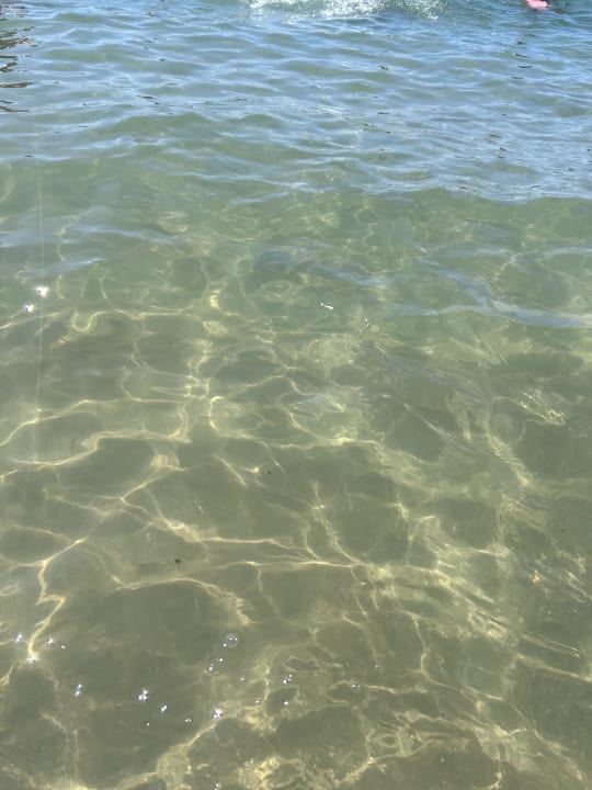 Strand Well Palace Side