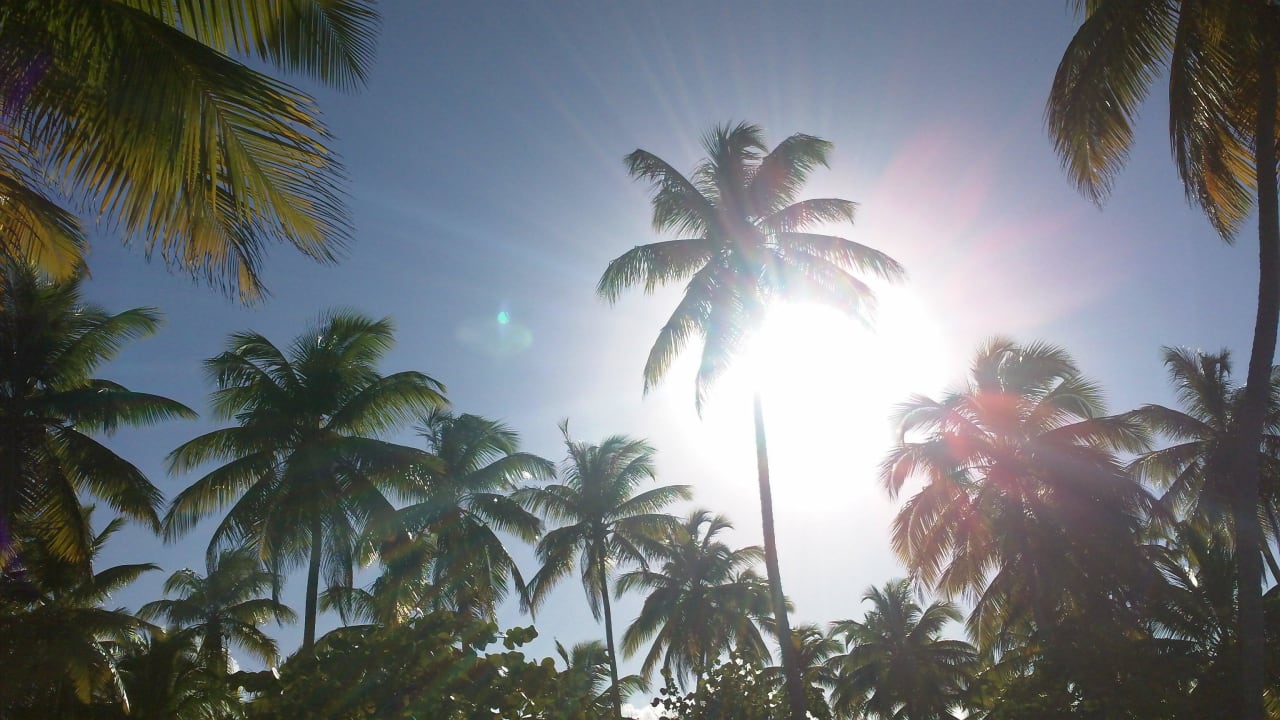 Perfekt! Bahia Principe Grand El Portillo